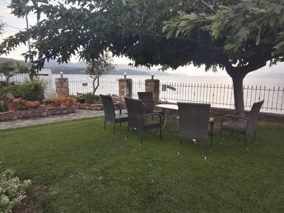 Apartment παραθαλάσσιο με κήπο στον αγιόκαμπο Agiokampos (Evia)