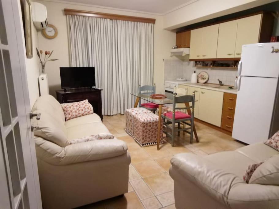 παραθαλάσσιο με κήπο στον αγιόκαμπο Apartment *