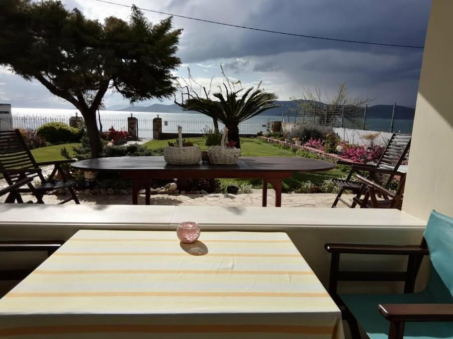παραθαλάσσιο με κήπο στον αγιόκαμπο Apartment *