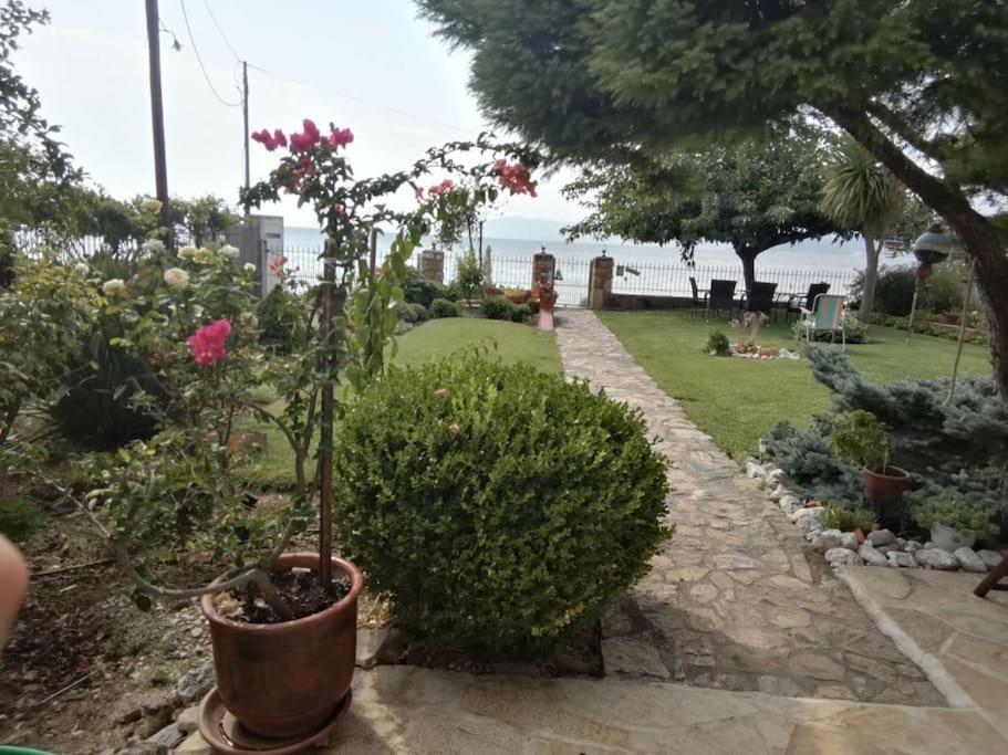 παραθαλάσσιο με κήπο στον αγιόκαμπο Agiokampos (Evia)
