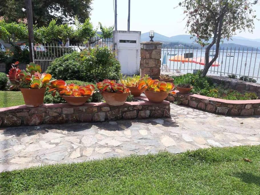 Apartment παραθαλάσσιο με κήπο στον αγιόκαμπο *