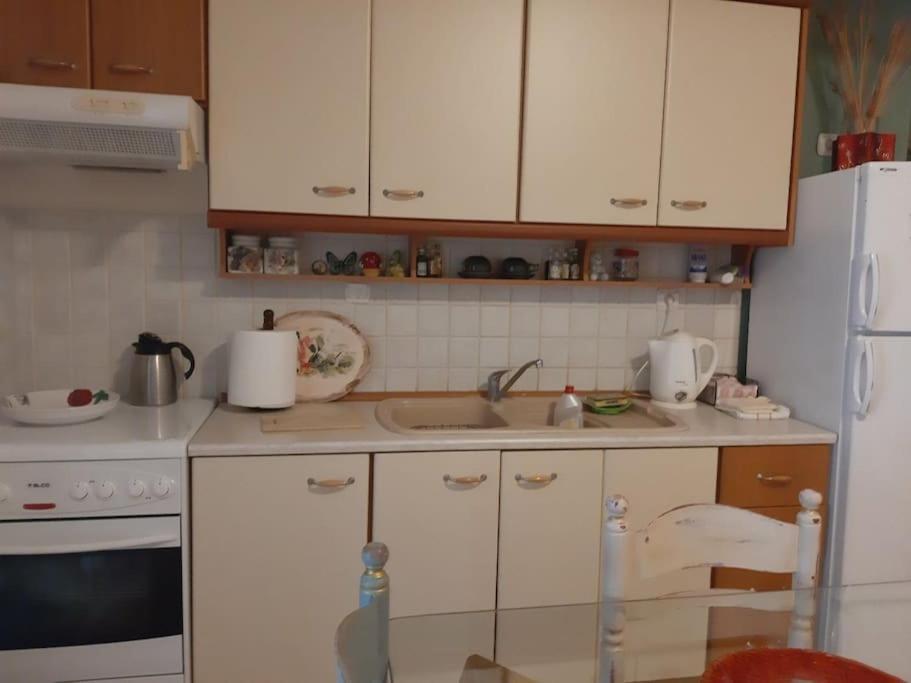 Apartment παραθαλάσσιο με κήπο στον αγιόκαμπο Agiokampos (Evia)